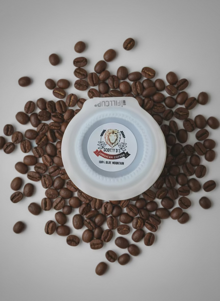 Scotty D's 12ct. 100% Blue Mountain Single-Serve Cups